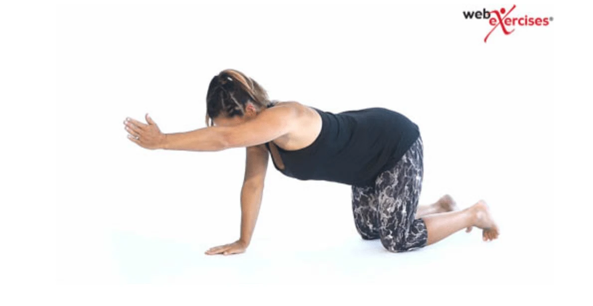 Chiropractic West Des Moines IA Pregnancy Exercises